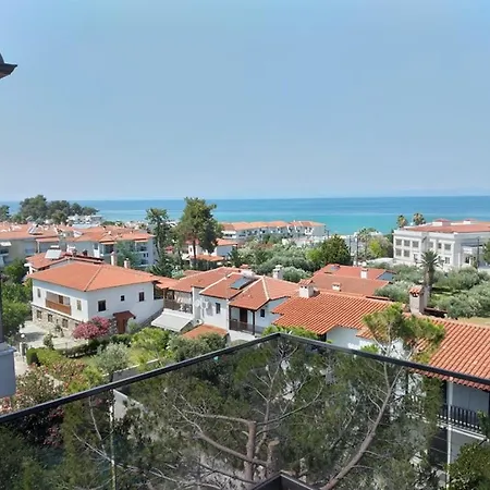 View *